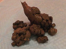 私は自撮りガール/仕事の合間にオナラ・オシッコ・ウンコを撮りました　サンプル画像04